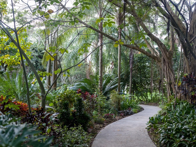 Walks At Leu Gardens